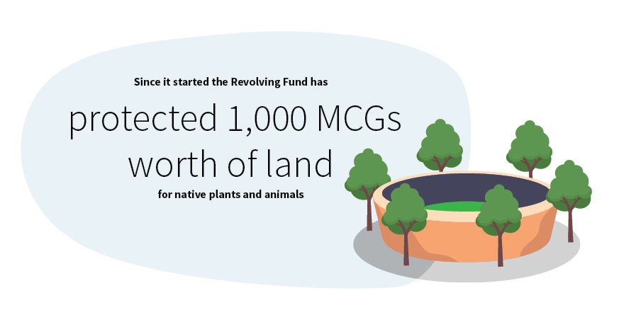 Trust for Nature's Revolving Fund program has protected land equivalent to 1,000 MCGs.