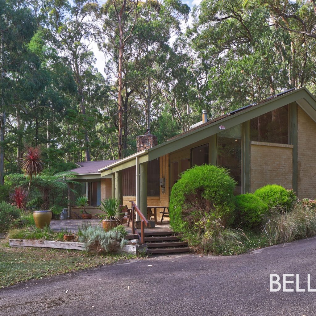 40 ha of pristine bush with a home in Gembrook.