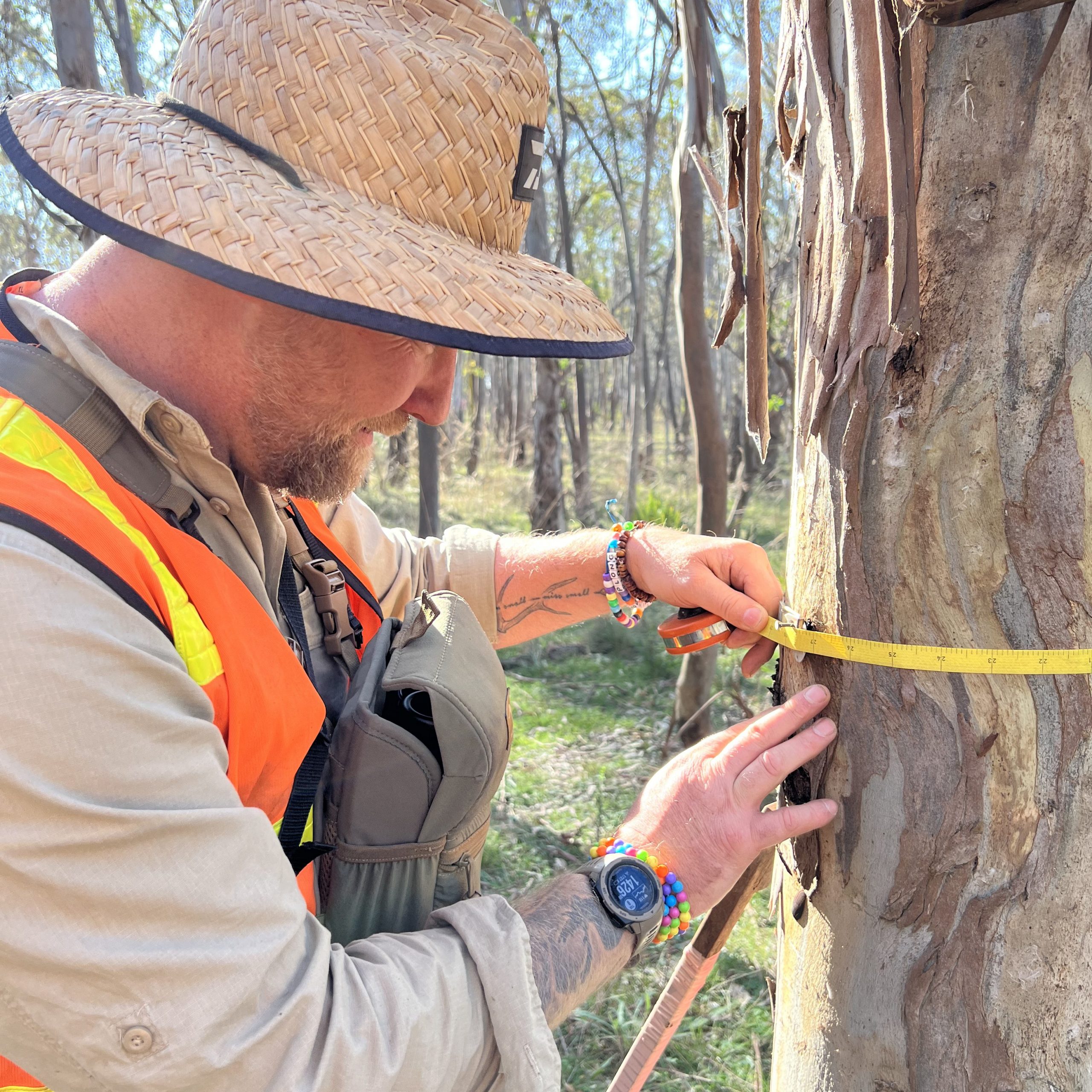 Ben Williams, Trust for Nature Senior Conservation Officer, monitoring forest growth at Bush Family Reserve in Meerlieu.