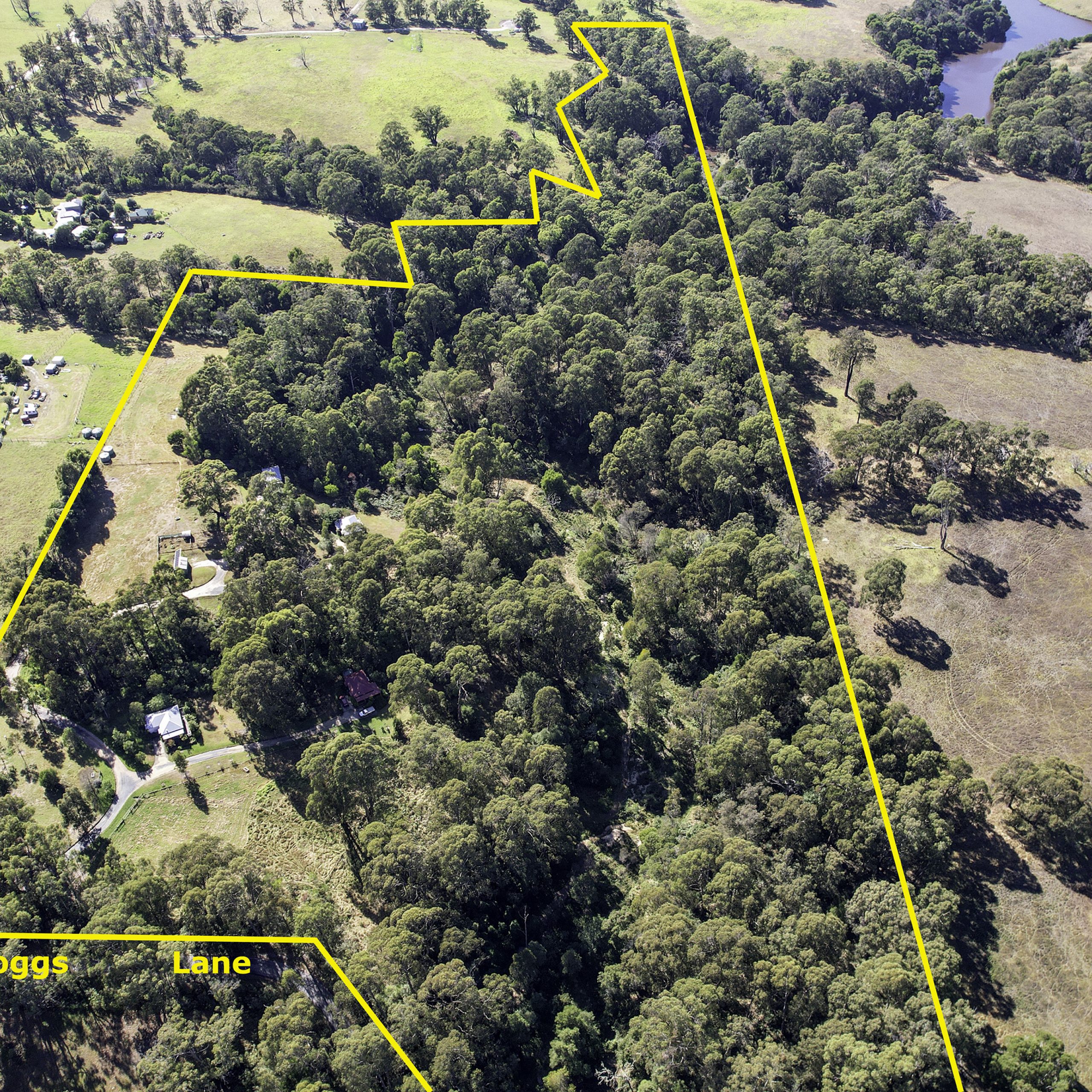 Aerial image of property with borders marked.