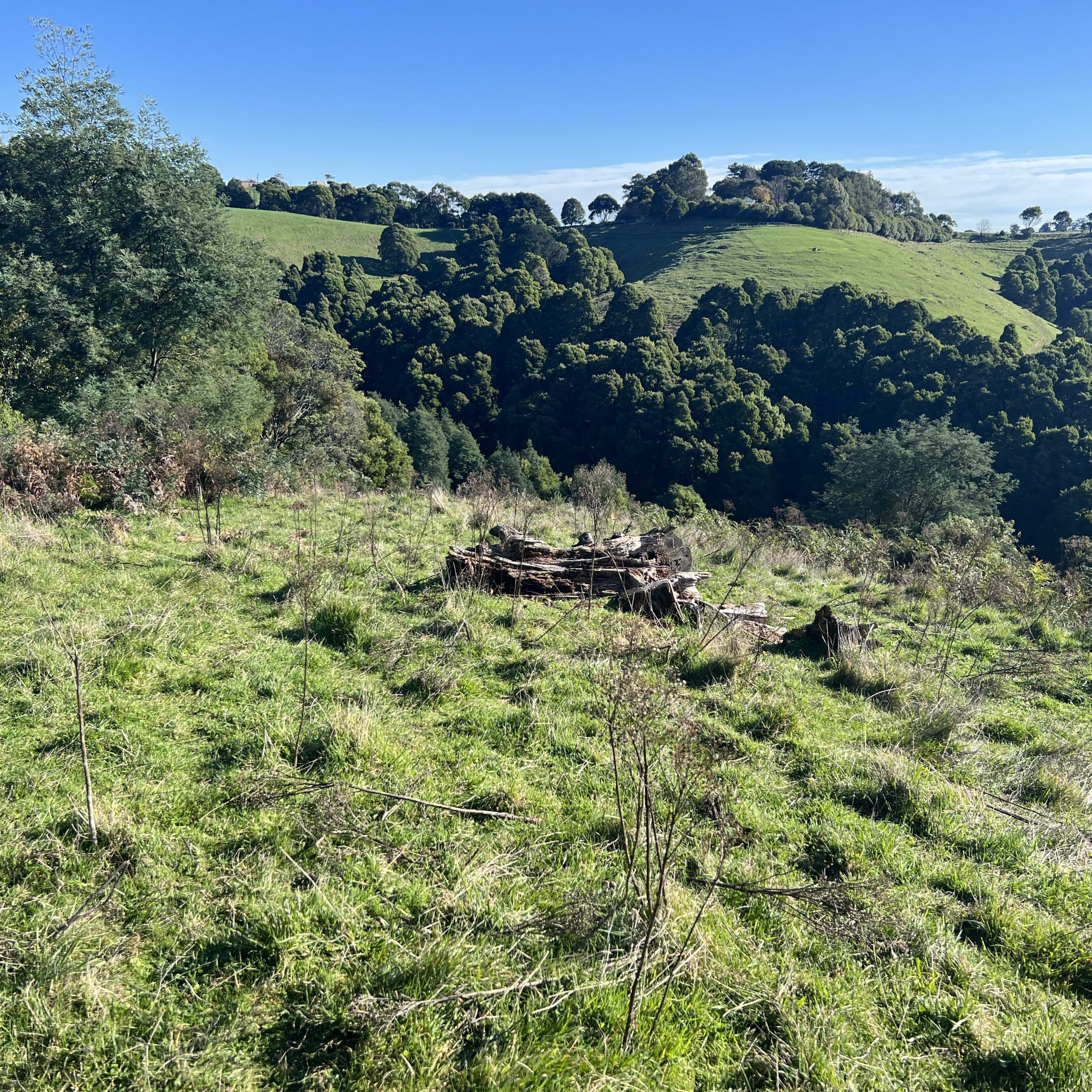 Hills and beautiful view on property near Foster, Victoria