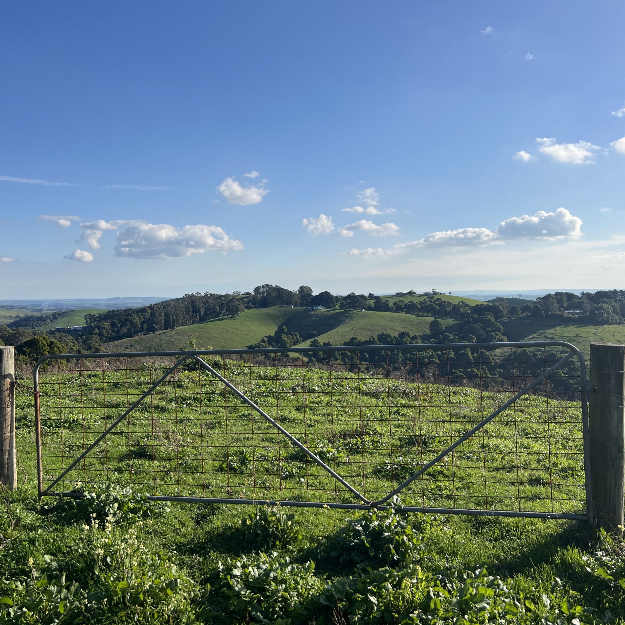 Gate and beautiful view on property near Foster, Victoria