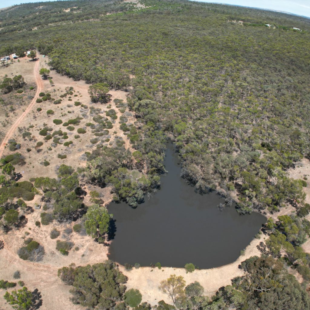 Expansive property in historical goldfields area.