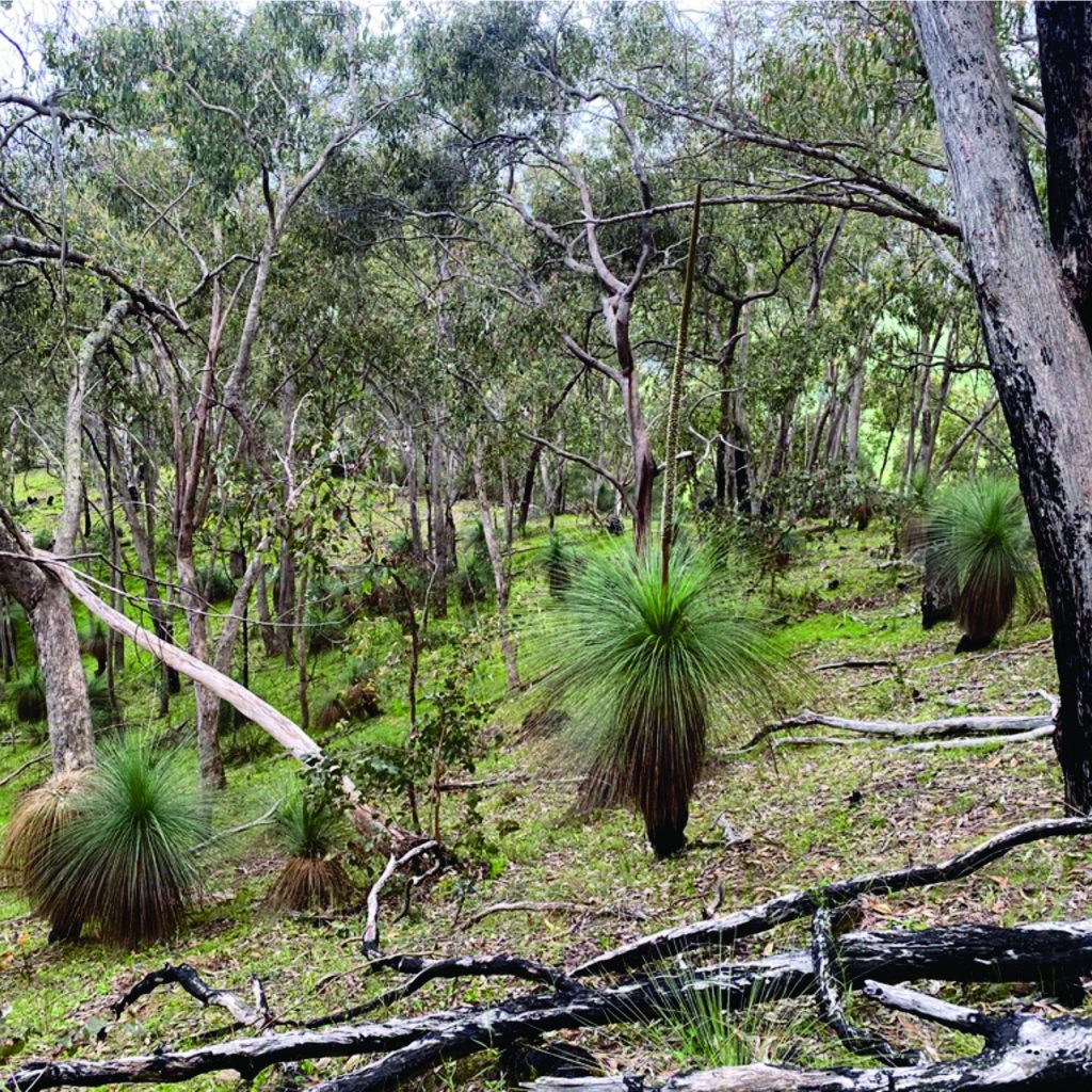 Upper Murray Alpine Gateway.